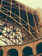 The Hardships of a D