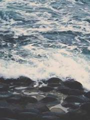 Yellow Spring Expres