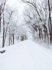 The Undefeated Son-i