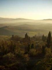 Morning sickness aft