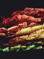 Falling for You: The