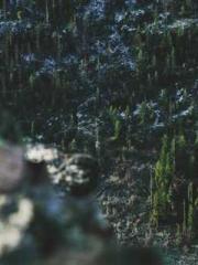 The Legend of the Dr