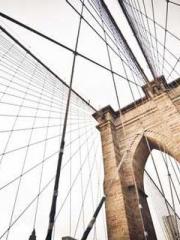 A Wifeapos;s Plea fo