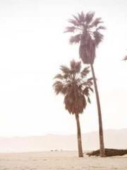 The Undefeated Son-i