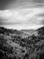 Unbound by any rules