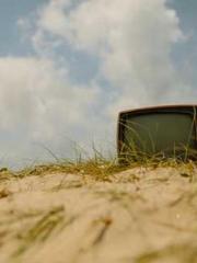 lt;lt;lt;Cultivation