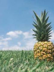 The ambiguous and sw