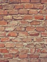 Lin Feng Lin Yun Yao