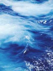 Rong Zhao, male, Nin