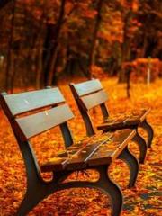 Grandpa Fuapos;s Ful