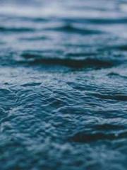 lt;lt;Know Green, Do