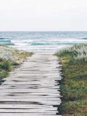 lt;The misfortune of