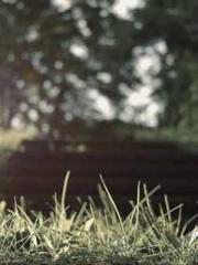 The Rough Man Hunter