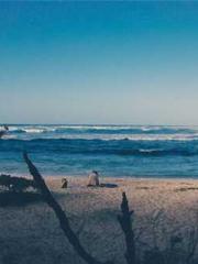 lt;lt;lt;Visionary S