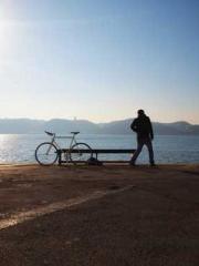 King of the Nine Pro