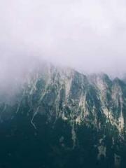 Transmigration: Feel