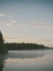 The Return of the Go