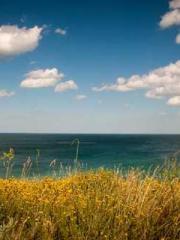 My projections are a