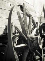 Fāng Chénlín Xuěyán