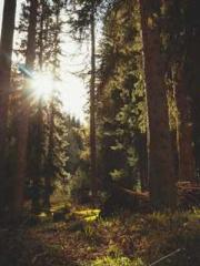 Jiang Mingzhu Zhou L