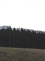 lt;lt;lt;lt;Good-loo