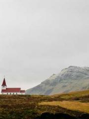 The Imperial Concubi