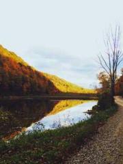 My pets are all amaz