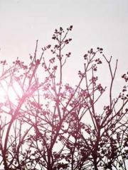 Becoming a Farm Girl