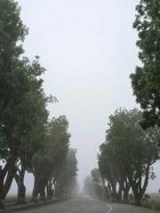 My stunning aunt lt;