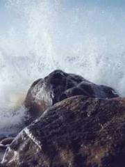 Saintly Gate Venerab