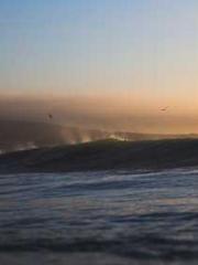 lt;Gingerly, Shen Qi